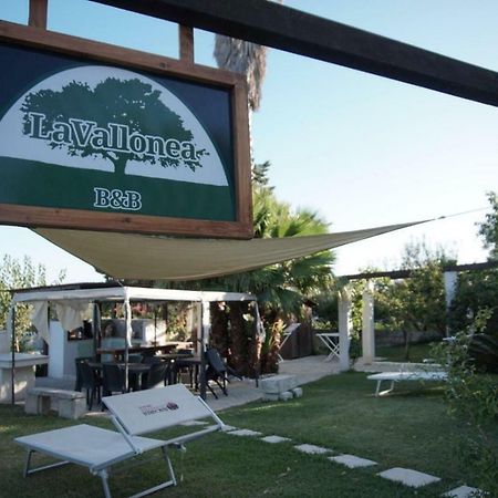La Vallonea 卡萨马塞拉 外观 照片