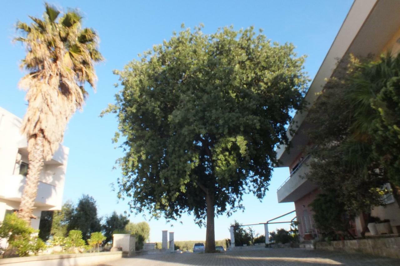 La Vallonea 卡萨马塞拉 外观 照片