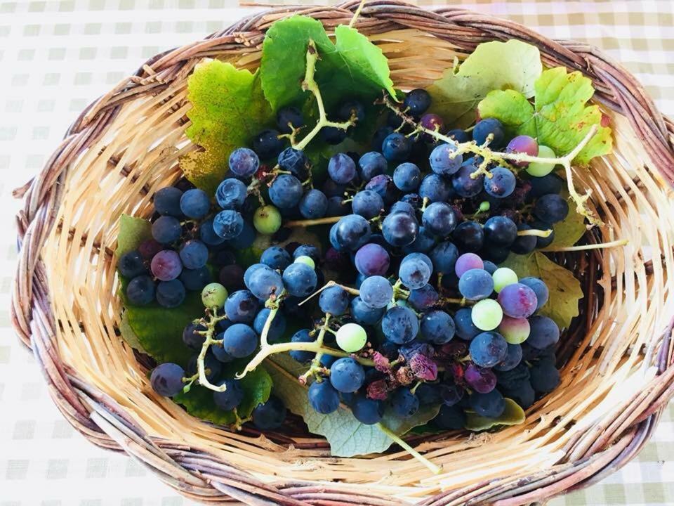 La Vallonea 卡萨马塞拉 外观 照片